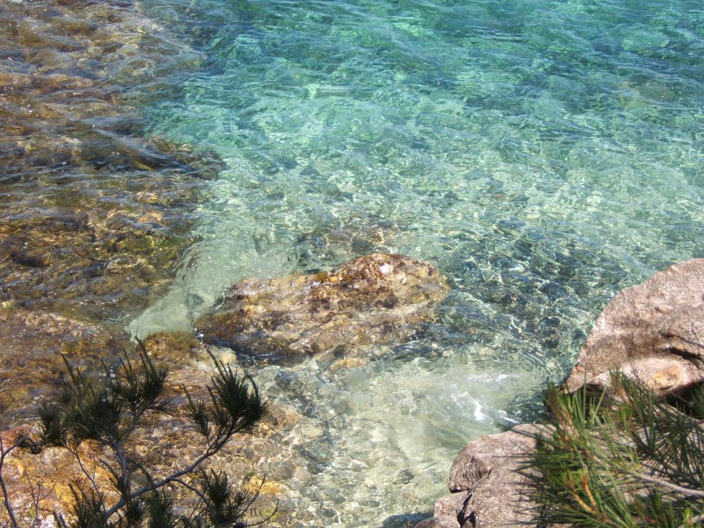 Les Lauriers Roses Aparthotel Le Le Rayol-Canadel-sur-Mer Luaran gambar