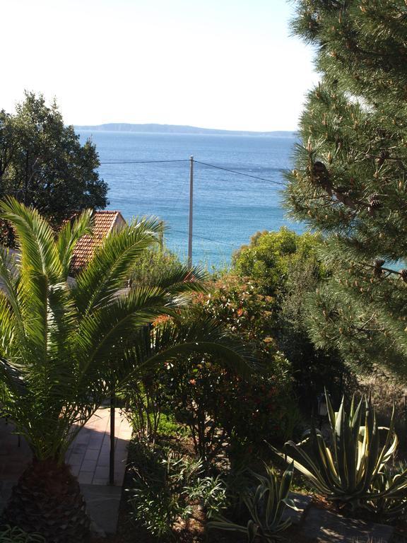 Les Lauriers Roses Aparthotel Le Le Rayol-Canadel-sur-Mer Luaran gambar